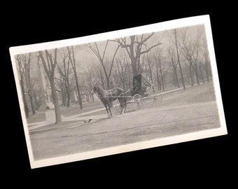 Antique Photo Postcard of Horse-drawn Carriage in the Park