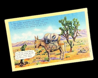 Vintage Desert Humor Linen Postcard | C.T. Art-Colortone Western Postcard | Burro & Joshua Tree