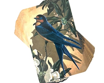 Vintage Stardust Playing Cards | Bluejay Floral Deck | Midcentury Collectible | Complete 54-Card Set | No Box