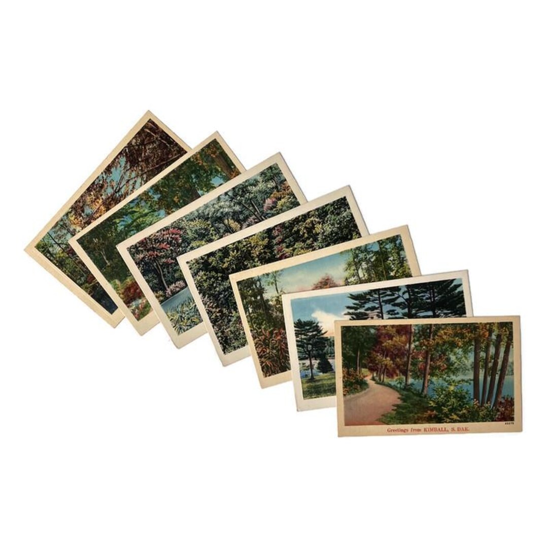 Antique NYCE Postcard Set: 1910-1930 Souvenir Landscapes, Kimball South ...