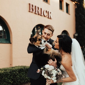May include: A bride and groom are smiling at each other while holding a brown and black dog. The groom is wearing a black suit and the bride is wearing a white wedding dress with a veil. The dog is wearing a white bow tie. The couple is standing in front of a building with the word "BRICK" on the side.