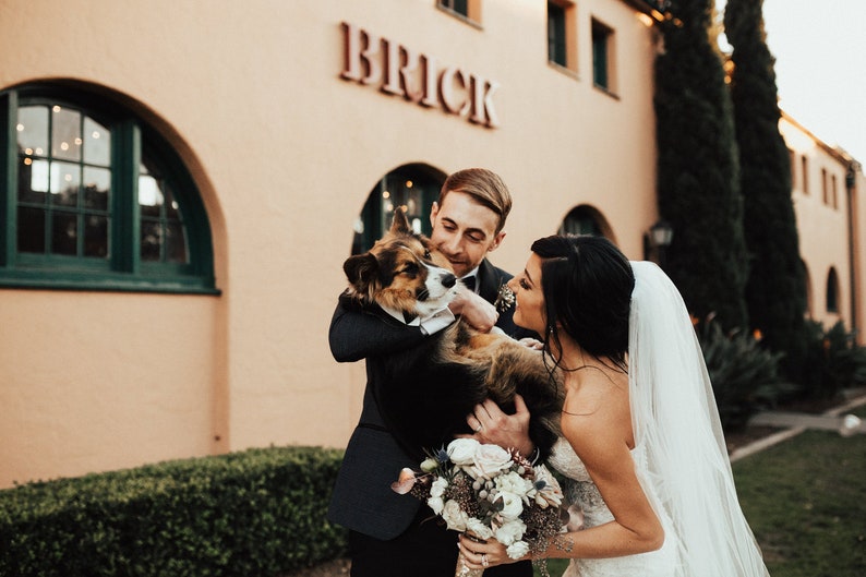 May include: A bride and groom are smiling at each other while holding a brown and black dog. The groom is wearing a black suit and the bride is wearing a white wedding dress with a veil. The dog is wearing a white bow tie. The couple is standing in front of a building with the word "BRICK" on the side.