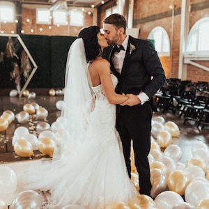 Cathedral Wedding Veil: Sheer Bridal Illusion Tulle, Raw Edge image 4