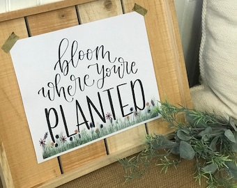 Bloom Where You're Planted Digital Print