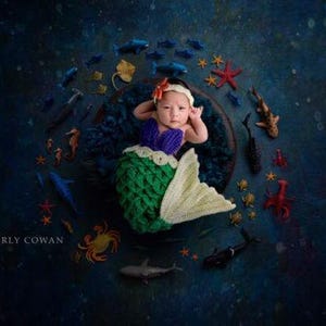 Crochet Little Mermaid Ariel Newborn Photography Prop/Infant Halloween Costume/ Mermaid Photo Prop/ Cake Smash Session Prop/Baby Shower Gift