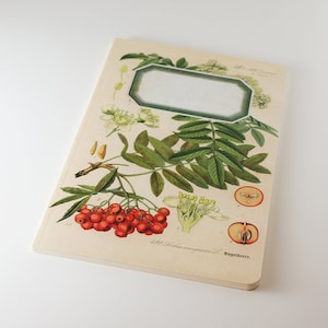 Rowan berries Diary, Botanical Notebook, botanical stationery, botanical gift for him, Christmas gift, botanic lined Notebook, unique gift