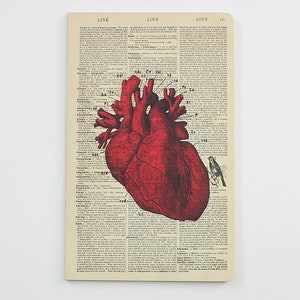 May include: A notebook featuring a vintage dictionary page design. A large, red anatomical heart illustration is centered on the page. A small bird illustration is in the lower right corner. The notebook is rectangular with a cream background.