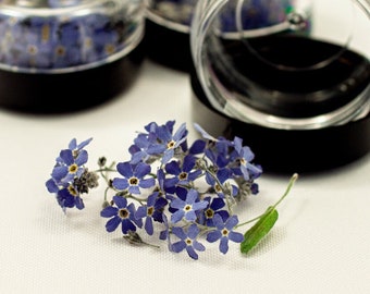 5-6 pcs Dried Flowers Blue Forget-Me-Nots, Resin Jewelry Earrings, Made for Epoxy Resin, Pendant Necklase Resin Jewellry, Dry Flowers, DIY