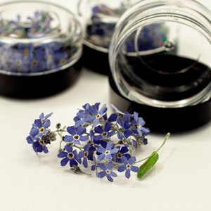 5-6 pcs Dried Flowers Blue Forget-Me-Nots, Resin Jewelry Earrings, Made for Epoxy Resin, Pendant Necklase Resin Jewellry, Dry Flowers, DIY