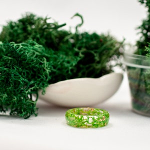 Muschio verde scuro naturale, vero muschio naturale conservato, muschio islandese, anello di muschio sferico, renna essiccata, gioielli in resina epossidica per terrari, fai da te