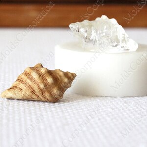 May include: Two seashell replicas. One is a light brown color with darker brown stripes. The other is a clear, translucent shell. Both are on a white surface. The shells are likely for crafting or decorative purposes.