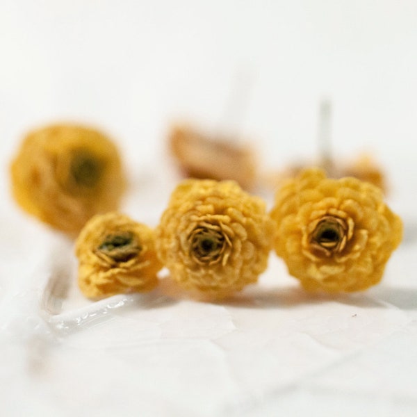 25-30 pcs Dried Flowers Yellow Ranunculus, Resin Jewelry Earrings, Made for Epoxy Resin Mold, Pendant Mold Necklase Diy Ring Dry Flowers R1