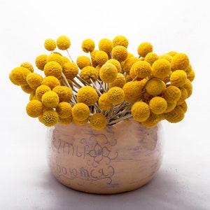 Puede incluir: Un jarrón de cerámica rosa claro y morado contiene un ramo de flores esféricas de color amarillo brillante. El jarrón tiene texto y un diseño floral. Las flores tienen una apariencia texturizada y borrosa.