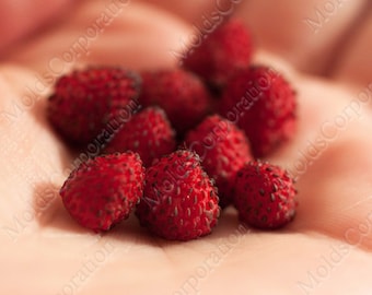 Copies of Natural Strawberries! Exclusive 5 Different Berries Silicon Mold, For Epoxy Resin, For Polymer Clay, Food-Grade Silicone, M245/4