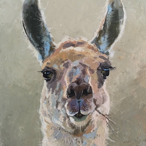 Portrait of a llama - original oil painting on canvas using palette knife stretched unframed 12 by 9 inch Wall art