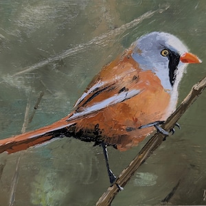 Könnte beinhalten: Ein Gemälde eines kleinen braunen und grauen Vogels, der auf einem Ast sitzt. Der Vogel hat ein schwarzes Auge und einen leuchtend orangefarbenen Schnabel. Der Hintergrund ist in einem sanften Grün gehalten.