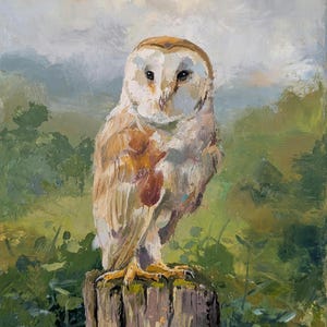 Barn Owl on a fence, original oil painting on stretched canvas 10x8&quot; Animal wall art