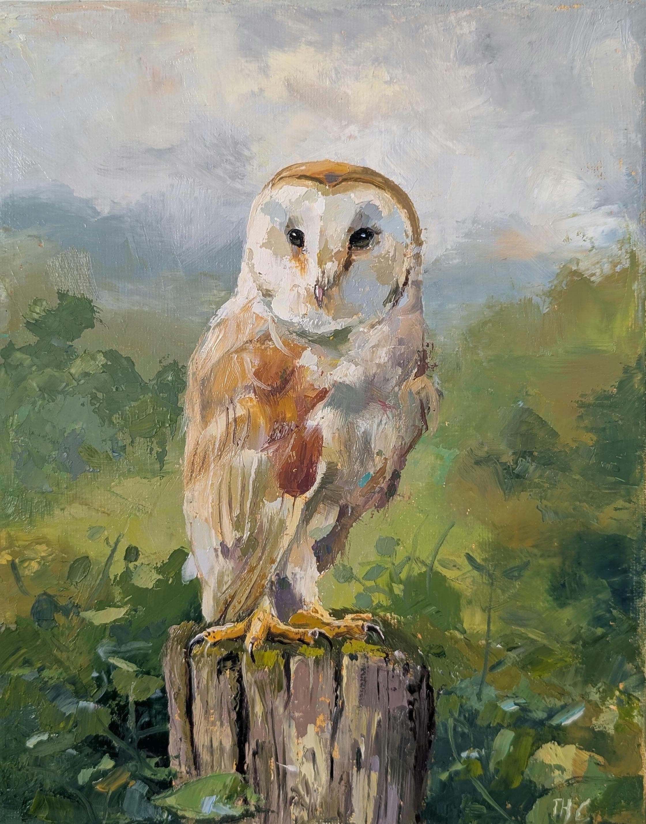 Barn Owl on a fence, original oil painting on stretched canvas 10x8" Animal wall art