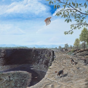 The Bluff&quot;  18&quot;x24&quot; Signed Giclee Fine Art Print by Susan J Schneider cabinhillgallery.com