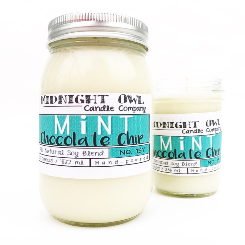 Mint Chocolate Chip Candle Scented Soy Candle dessert Etsy
