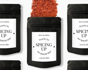 Spices Wedding Favor Pouch, Thanks for Spicing up Our Day, Spice Packets, Bbq Rub as Party Favors