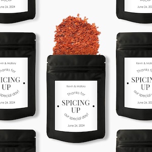Spices Wedding Favor Pouch, Thanks for Spicing up Our Day, Spice Packets, Bbq Rub as Party Favors