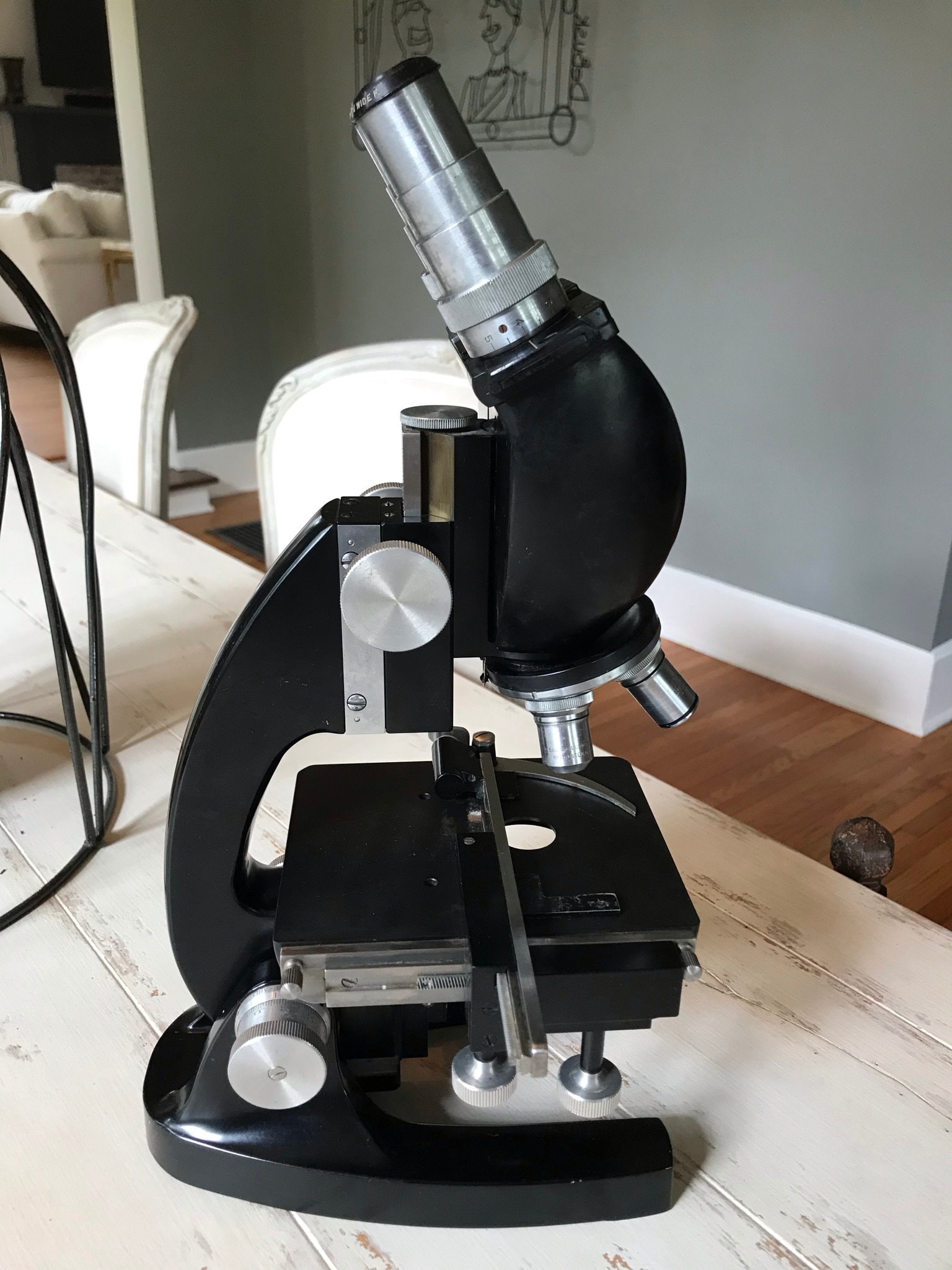 Compound Microscope for sale 77 ads for used Compound Microscopes