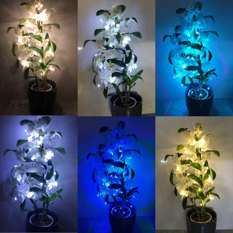 Submersible Waterproof String Fairy Lights 20 LED per String. Etsy