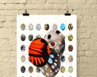 Butterfly Wings 18x25mm Oval Images, Digital Collage Sheet (PDF)