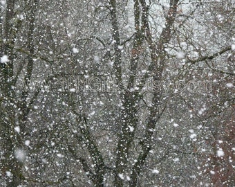 吹雪の写真プリント、冬のウォールアート（デジタルダウンロード）