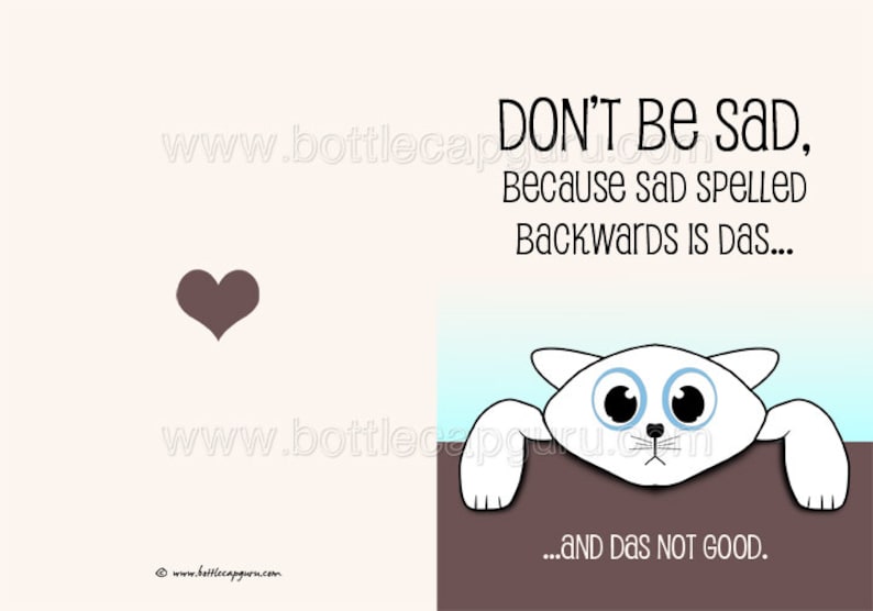 K&ouml;nnte beinhalten: Eine wei&szlig;e Katze mit blauen Augen schaut &uuml;ber eine braune Oberfl&auml;che. Der Text lautet "DON'T BE sad, Because Sad Spelled Backwards Is Das... ...AND DAS NOT GOOD."