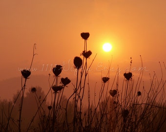 Sunrise Over Eitan Mountain, Israel *Nature Photography Printable 10x8 Wall Decor Art Sunrise Sunset Photograph Heart Digital Photo Download