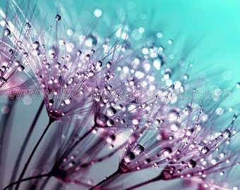 Dandelion Print / Dandelion Seeds Macro Photography / Printable Nature Photo / Turquoise & Violet Flower Art Wall Decor // Digital Download