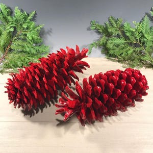 May include: Two large, vibrant red pine cones with a glossy finish. The cones are arranged on a light wood surface, with green evergreen branches in the background. A festive, decorative item.