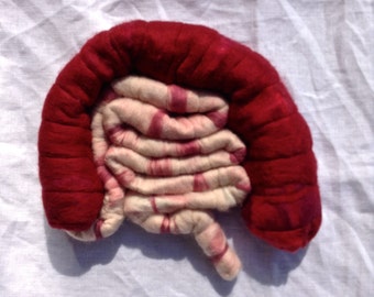 Felted intestine, pure wool body parts, handmade, human intestine handling model