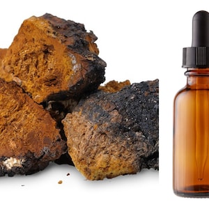 Chaga Tincture Mushroom Herbal Tonic Botanical Mycelium Concentrate Floral Fungus Extract Wildcrafted Vegan Kosher Gluten Free Soy Free