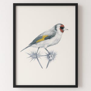 Botanical Goldfinch Digital File