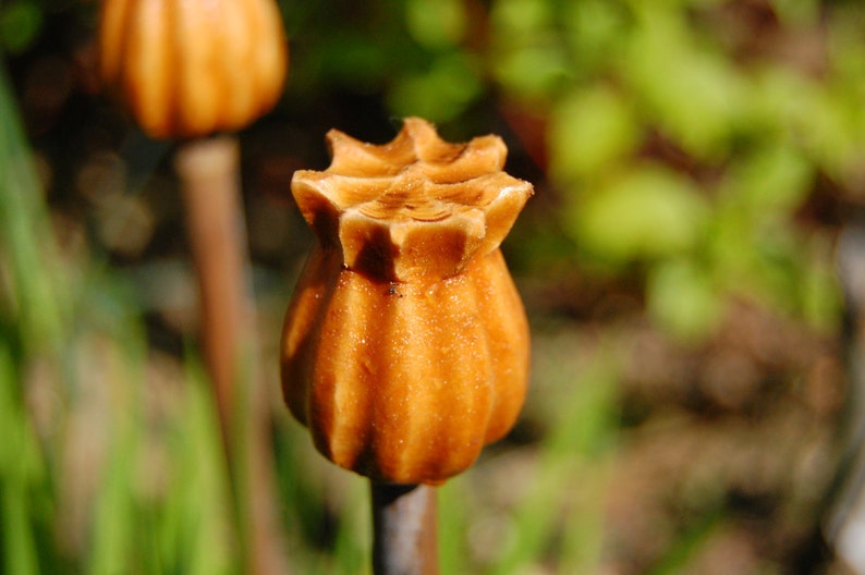 3 x Poppy Seed Head Garden Cane Toppers Hand Carved In Wood Etsy