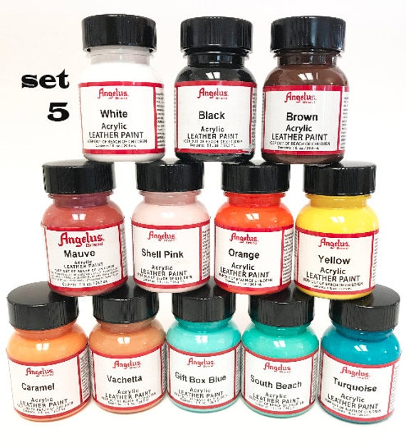 Acrylic Leather Paint for Shoes - 18 Color Acrylic Leather Paint Kit with 5 Pain
