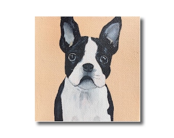 Boston terrier art print