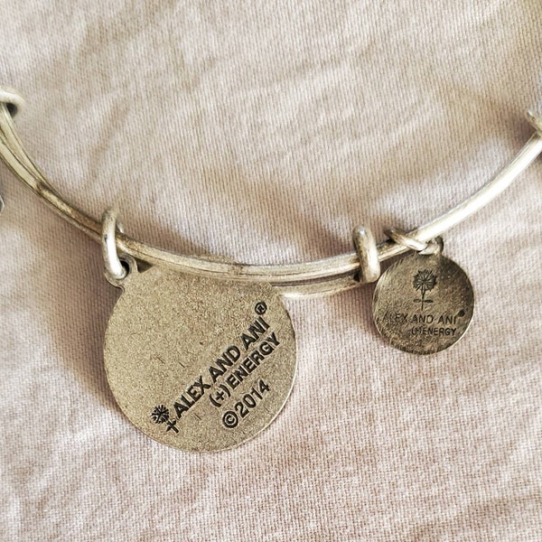 Alex and Ani 2014 Energy Bracelet