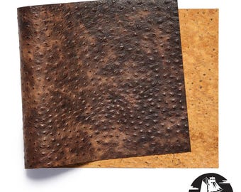 Newbury Leathers, Ostrich Embossed, Panel, Brown