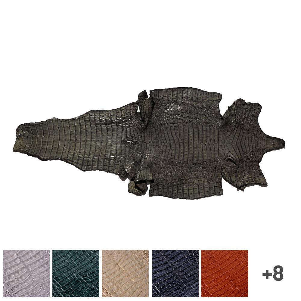 Alligator Raw Skin