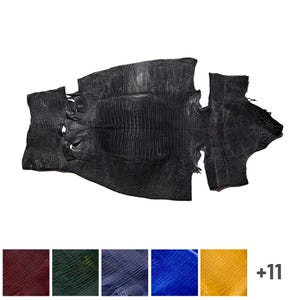 Teju Lizard Skin, Exotic Leather