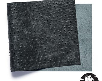 Newbury Leathers, Ostrich Embossed, Panel, Black