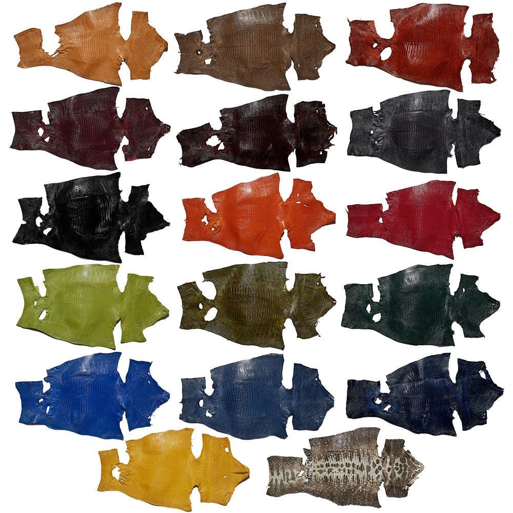 Teju Lizard Skin, Exotic Leather - Etsy