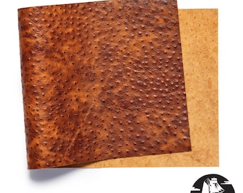 Newbury Leathers, Ostrich Embossed, Panel, Cognac