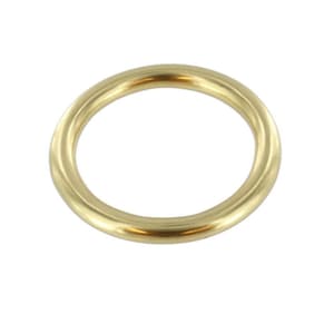 May include: A gold-colored metal ring, also known as a jump ring, is a common hardware item used in jewelry making and crafting.