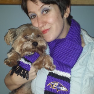 May include: A woman wearing a purple and black striped scarf with a Baltimore Ravens logo holds a brown and tan Yorkshire Terrier wearing a matching purple and black scarf.