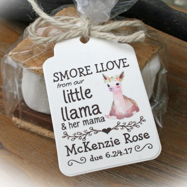 Llama Baby Shower - Etsy